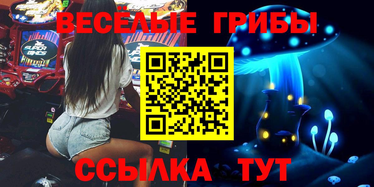 Галлюциногенные грибы Psilocybine cubensis Красноуфимск