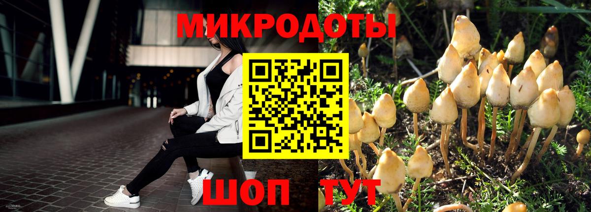 Псилоцибиновые грибы прущие грибы  Вход с VPN  цены   Красноуфимск 